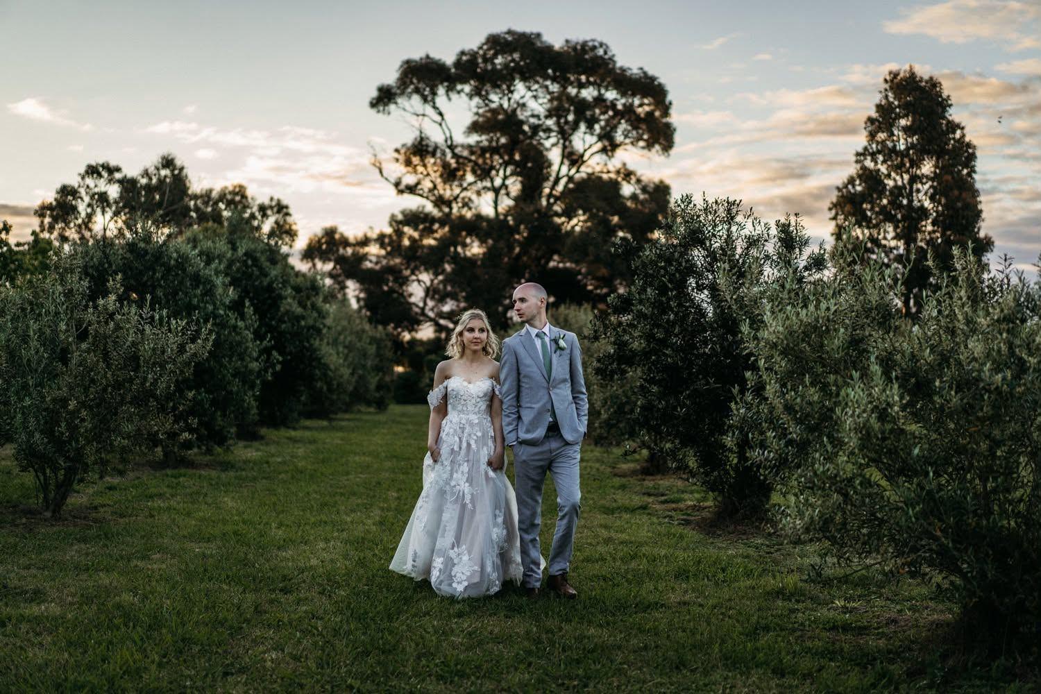 Couple walking the rows of olive trees at sunset